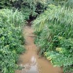 Bachlauf am Projektgelände