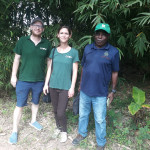Somanya